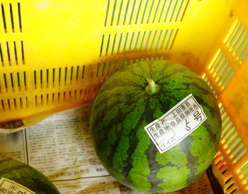 201408_ブログ_スイカカ.jpg