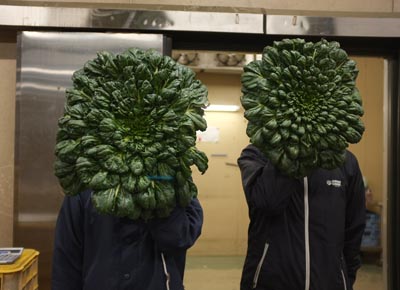20141217_¥Ö¥í¥°2.jpg