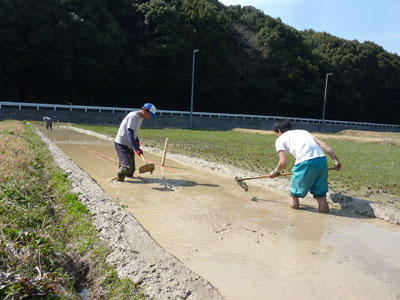 2013.4.jpg