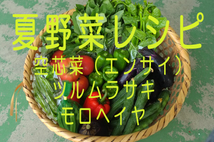 夏野菜_空ツルモロ.jpg