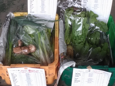 パック野菜190328