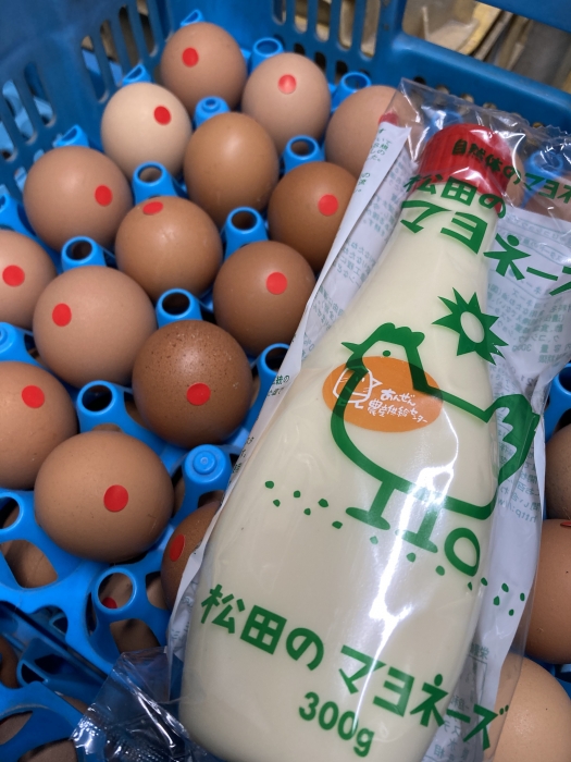 卵から孵ったヒヨコの根付