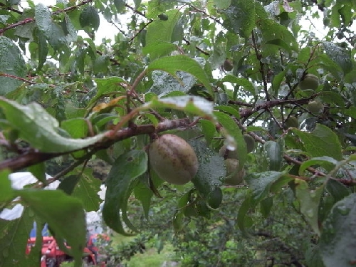 1734115346_217m.JPG