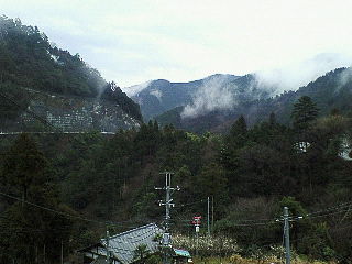 20070311_270957.jpg
