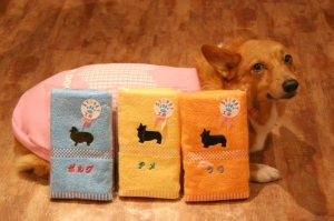頂きましたよ〜
