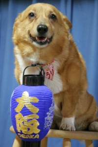 大阪名物