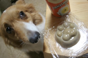 なんだろ〜〜
