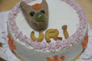 うりのケーキ