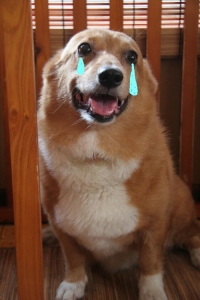 うり3