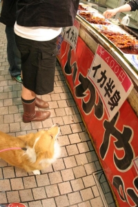 いちじょう6