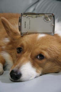 OLYMPUS