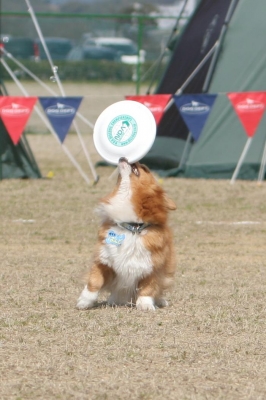 ぱんだ2