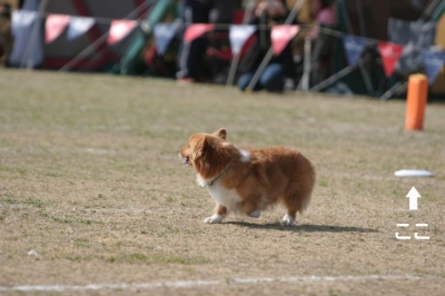 ぱんだ3