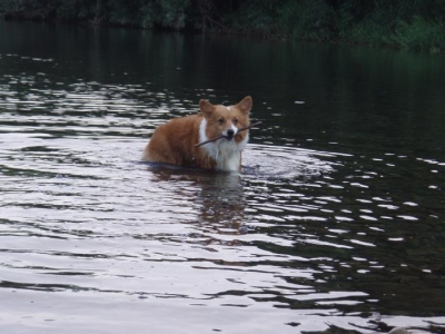 Å·ËþµÜ£´
