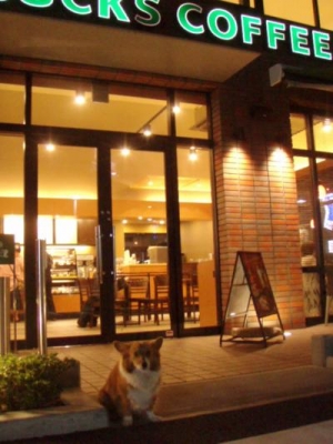 スタバ
