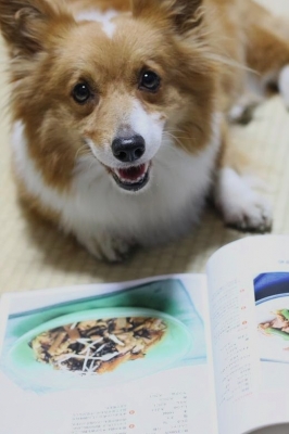 明日の献立