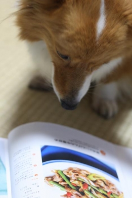 考え中