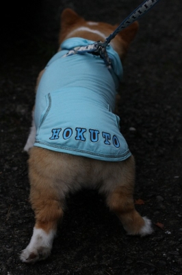 HOKUTO