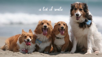 a lot of smile