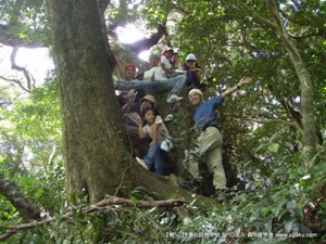 タンテイロ巨樹の森(御蔵島)にて。楽しいところ!