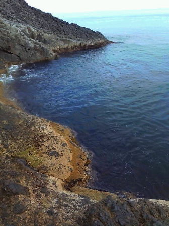 D1000579.jpg