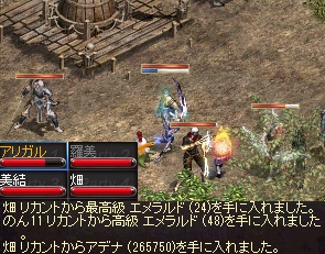 アリリン発見