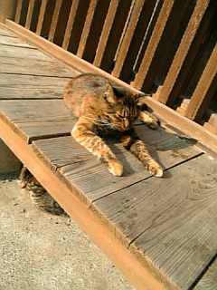 20061105_266181.jpg
