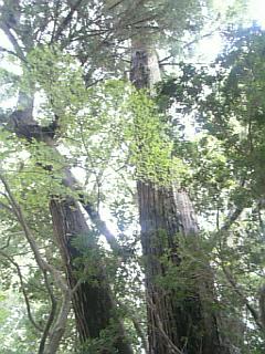 07-09-05_11-531.jpg