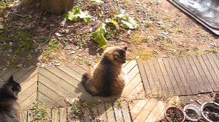 Image3241.jpg