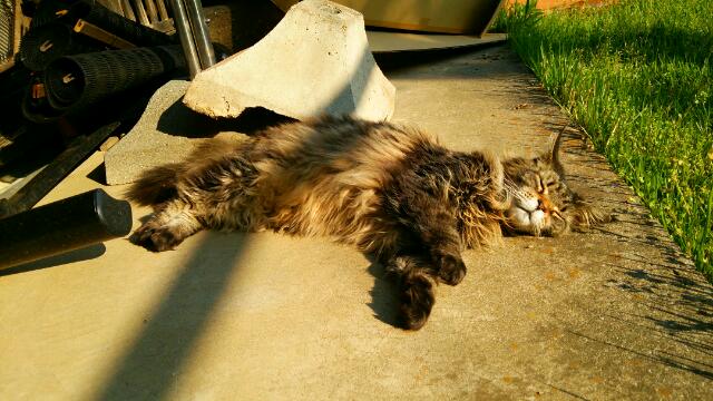 20140607_103720.jpg