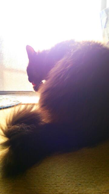 20150131_234225.jpg