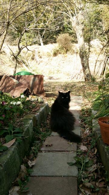 20150302_180851.jpg