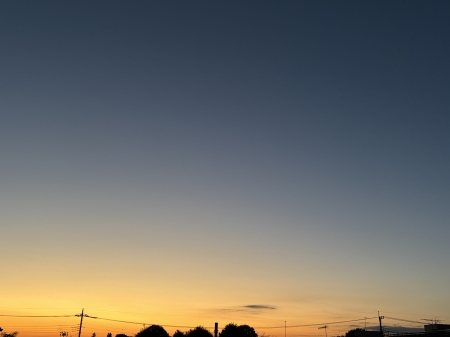 今週末の営業について