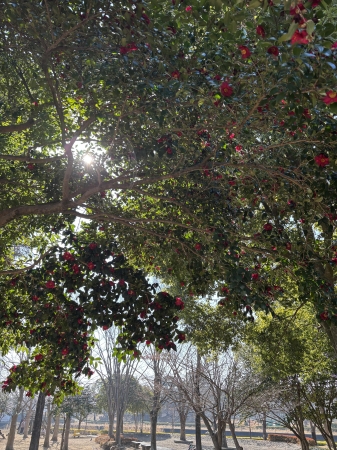 3月の営業について