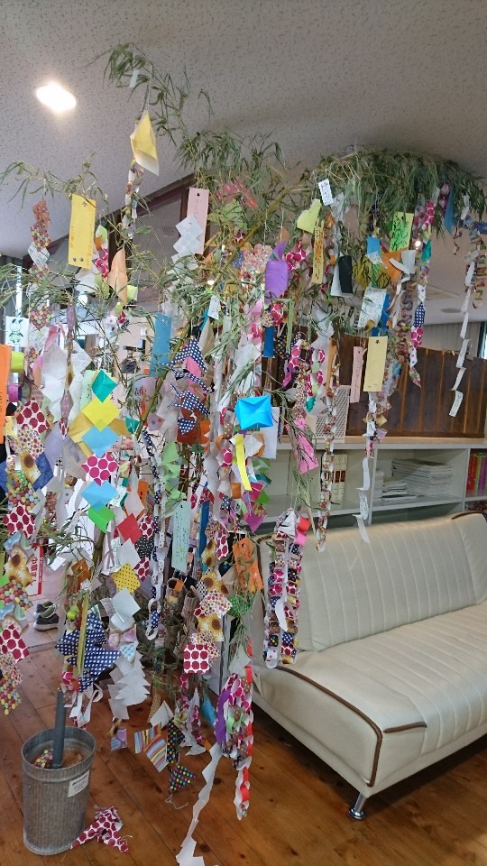 DSC_0343-540x960.JPG
