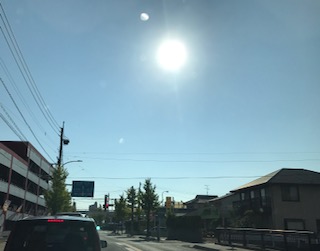 image1.JPG