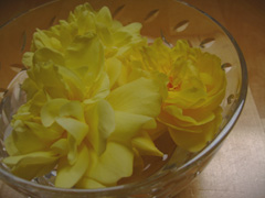 コーヒーココア.net rose