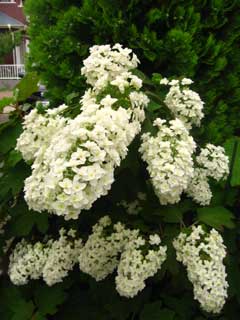 IMG_5744.jpg