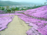 滝上公園