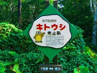 地名板・キトウシ