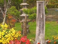 清水谷の湧水