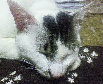 20070508_182913.jpg