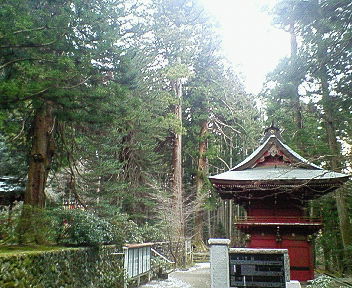 200801011559000.jpg
