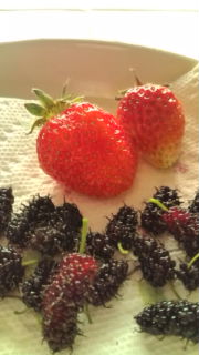 20120514115336.jpg