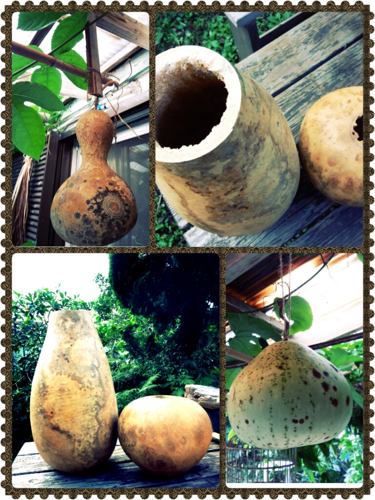 photoshake_1350350276583.jpg