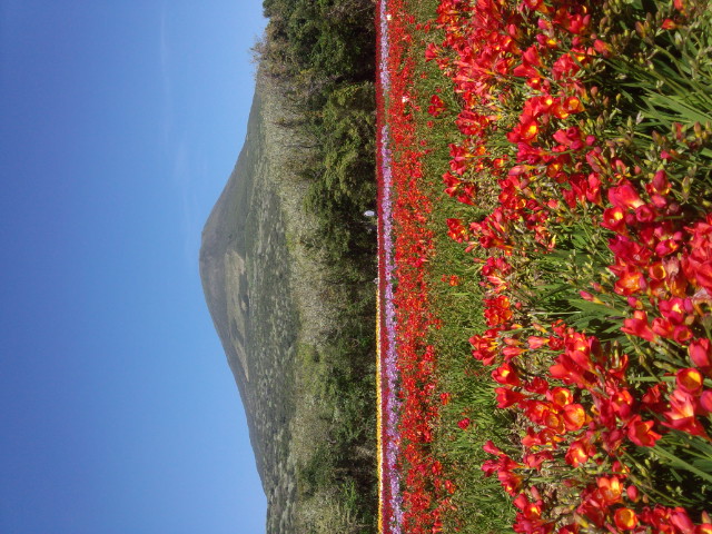 IMG_20130321_103159.jpg
