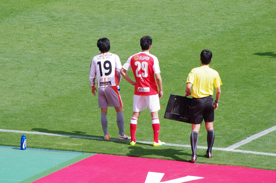IMGP3329.jpg