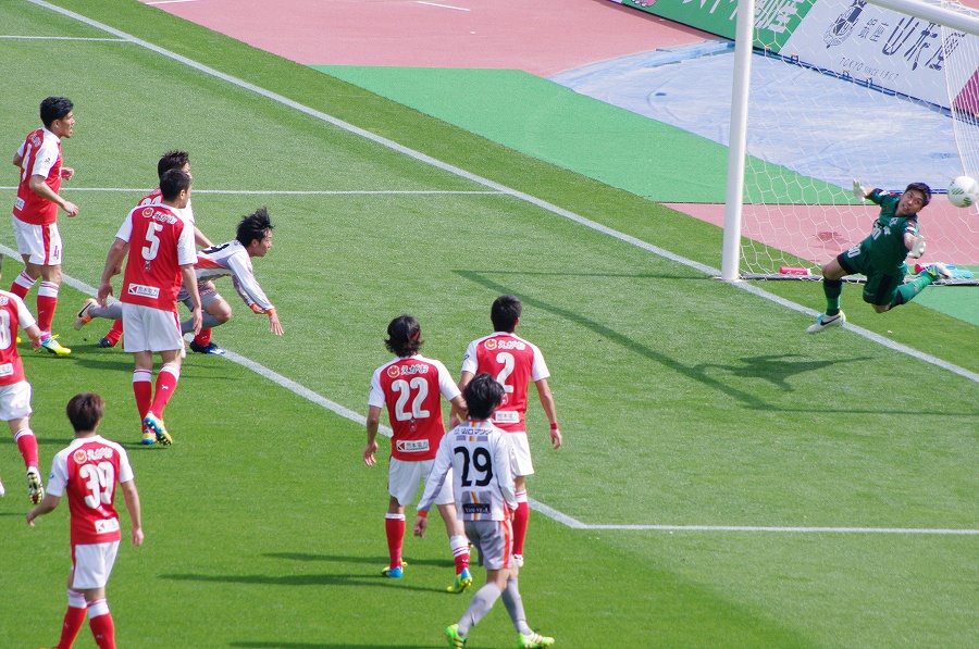 IMGP3346.jpg