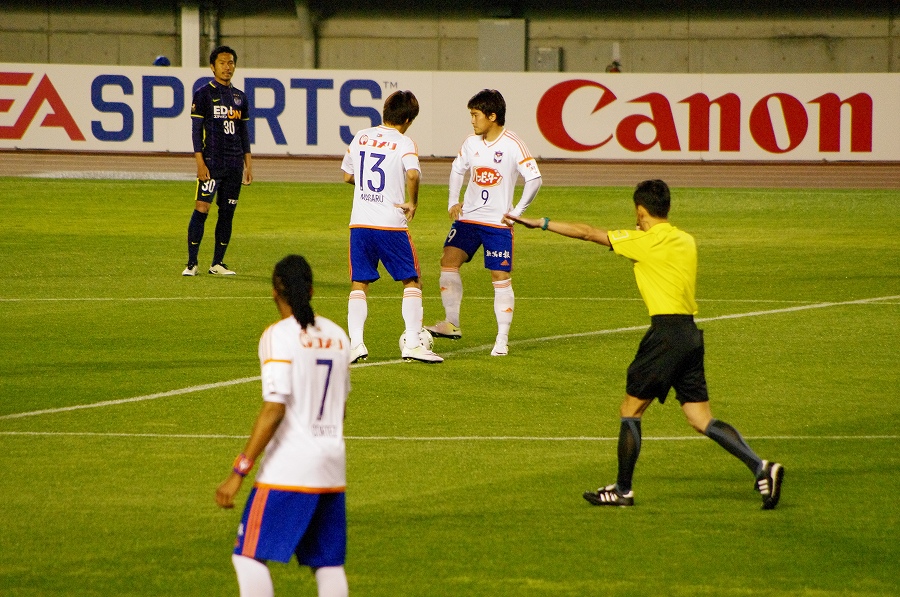 IMGP3694.jpg