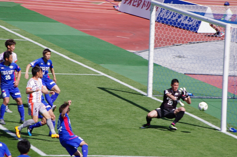 IMGP4304.jpg